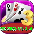 Bingo PKR Pro v1.1.4