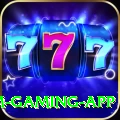 melbet Premium Gaming App