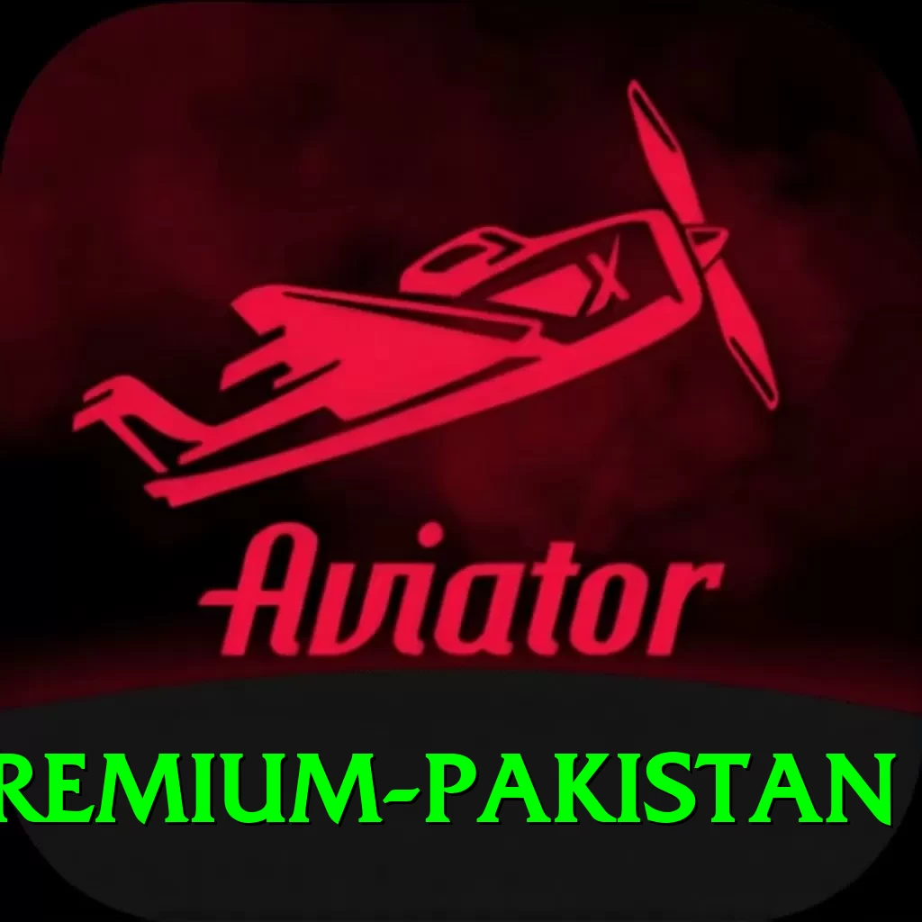PakDhan Premium Pakistan - 2