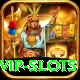 x555 VIP Slots